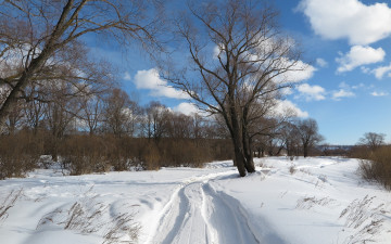 Картинка природа дороги снег дорога