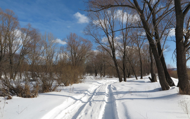 Обои картинки фото природа, дороги, снег, деревья