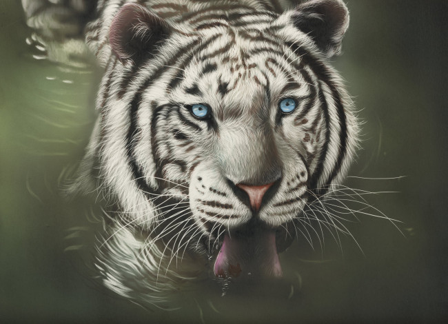 Обои картинки фото рисованное, животные,  тигры, by, shonechacko, вода, белый, тигр