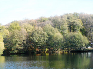 Картинка природа реки озера водоем лес