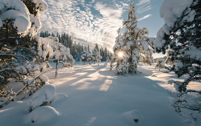Обои картинки фото природа, зима, деревья, тени, ели, норвегия, солнце, небо, облака, лучи, пейзаж, снег