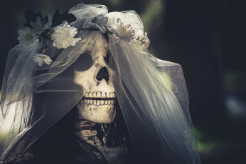 Картинка разное кости +рентген невеста