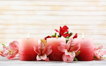 Картинка цветы альстромерия свечи розовые бутоны