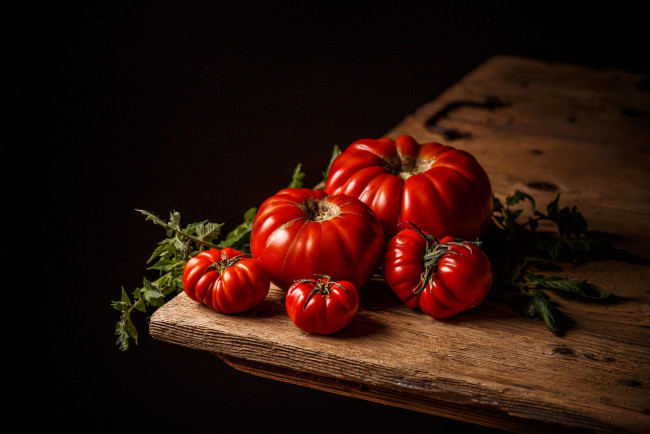 Обои картинки фото еда, помидоры, мясистые, томаты