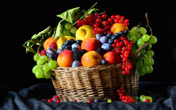Картинка еда фрукты +ягоды сливы персики виноград смородина ежевика
