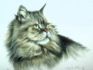 Картинка рисованное животные +коты кот голова