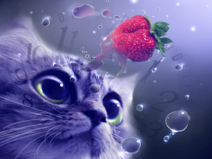 Картинка разное компьютерный дизайн циферблат часы клубника ягода кошка капли кот
