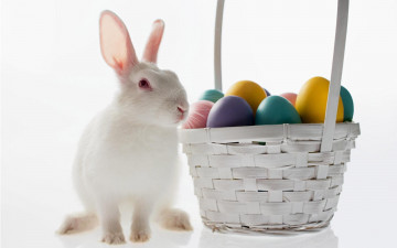 Картинка животные кролики зайцы крашенки корзина пасхальные яйца кролик