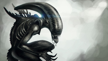 Картинка фэнтези существа чужой alien