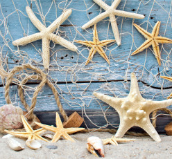 обоя разное, ракушки,  кораллы,  декоративные и spa-камни, морские, звезды, песок