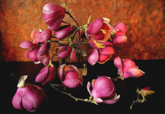 Картинка цветы магнолии розовый