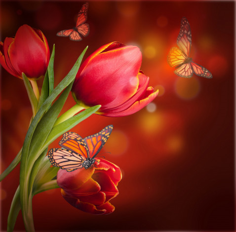 Обои картинки фото разное, компьютерный дизайн, бабочки, тюльпаны