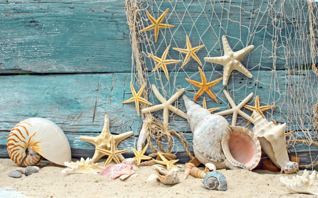 Обои картинки фото разное, ракушки,  кораллы,  декоративные и spa-камни, дерево, камушки, сетка, пляж, песок, морские, звезды