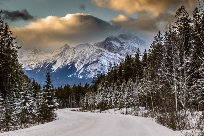 Обои картинки фото природа, зима, снег, горы, лес