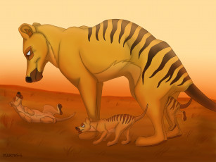 Картинка рисованное животные пустыня тосманский волк