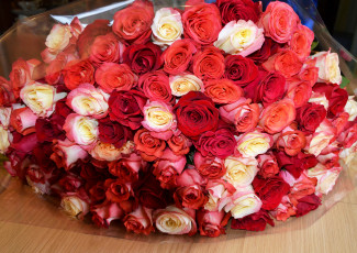 Картинка цветы розы красота букет bouquet flowers rose