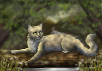 Картинка рисованное животные +коты кот взгляд фон