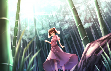 Картинка аниме touhou бамбук лучи арт девушка