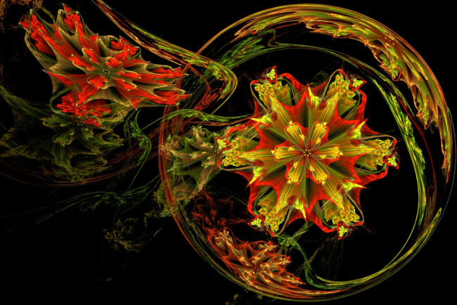 Обои картинки фото 3д графика, абстракция , abstract, фон, узоры, круг, звезда, цветы
