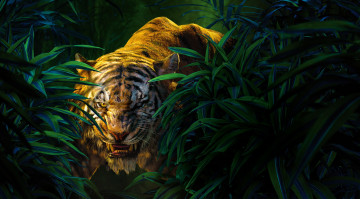 Картинка кино+фильмы the+jungle+book книга джунглей the jungle book приключения