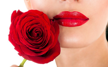 Картинка разное губы роза алый