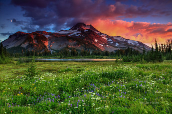 Картинка природа пейзажи гора луг трава цветы небо