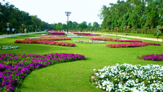 Обои картинки фото природа, парк, клумбы, цветы