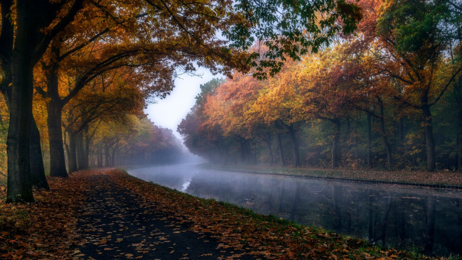 Обои картинки фото природа, реки, озера, листва, дымка, канал, деревья, осень