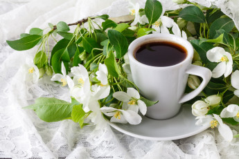 Картинка еда кофе +кофейные+зёрна цветы ветки