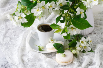 Картинка еда макаруны листья цветы кофе весна ткань