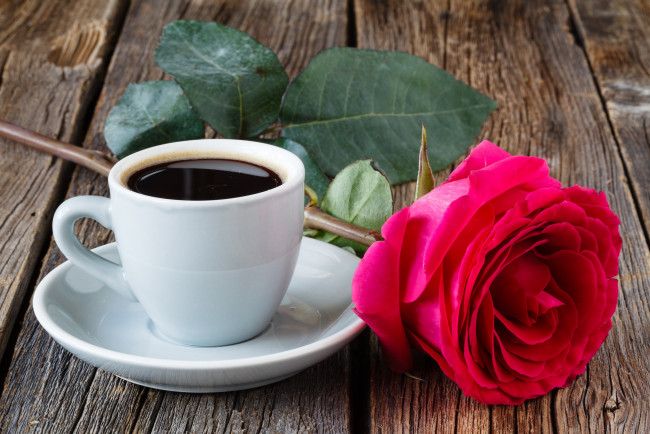 Обои картинки фото еда, кофе,  кофейные зёрна, цветок, роза