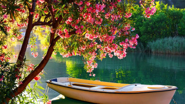 обоя корабли, лодки,  шлюпки, река, лодка, цветущее, дерево