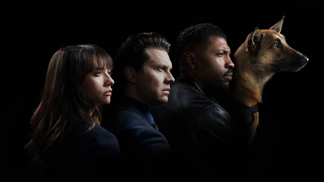 Обои картинки фото angie tribeca, кино фильмы, -unknown , другое, angie, tribeca, rashida jones, ???????, ??????, deon cole, боевик, комедия, криминал, детектив, сериал, jere, burns, andree, vermeulen