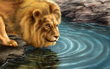 обоя рисованные, животные, львы, лев, водопой, вода, круги