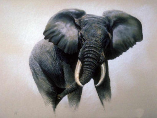 обоя рисованные, животные, слоны