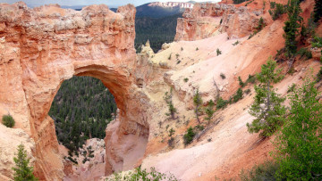 Картинка природа горы utah usa natural bridge bryce canyon