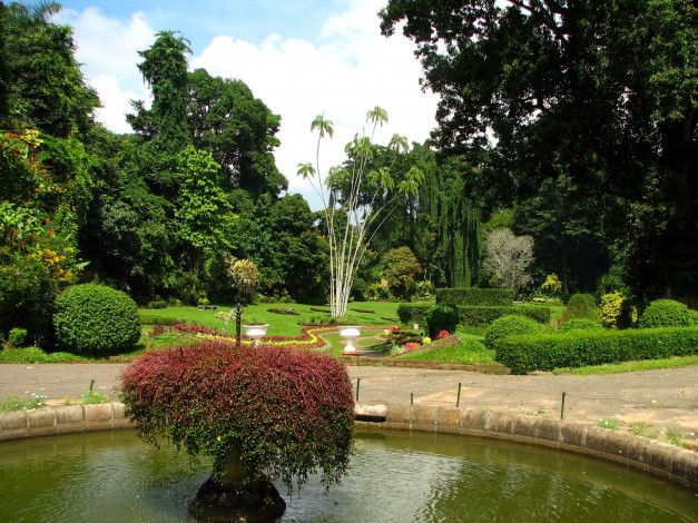 Обои картинки фото природа, парк, kandy, botanical, garden, sri, lanka