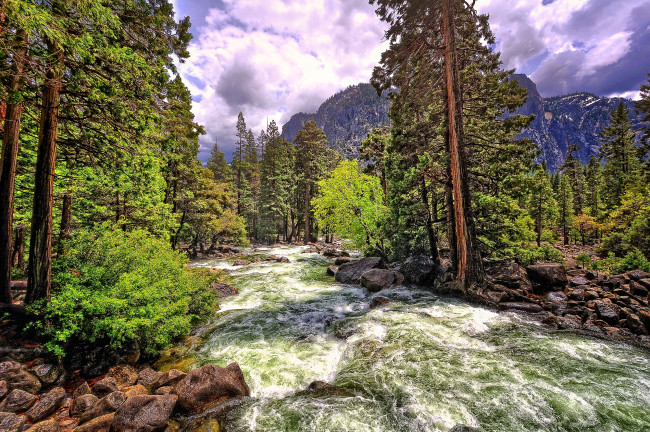 Обои картинки фото природа, реки, озера, бурный, поток, течение, деревья, горы, камни