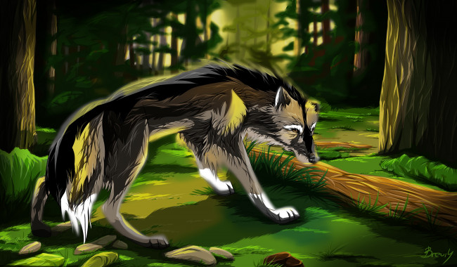 Обои картинки фото рисованные, животные, волки, лес, волк