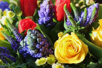 Картинка цветы разные+вместе тюльпан роза гиацинт