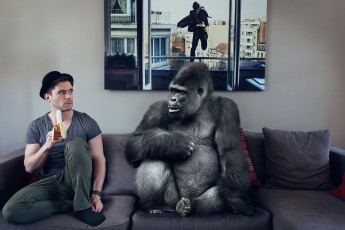Картинка юмор+и+приколы горилла парень
