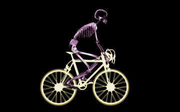 обоя разное, кости,  рентген, велосипедист