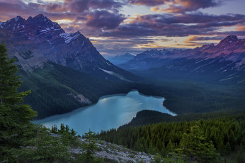 Картинка природа горы национальный парк банф канада peyto lake озеро пейто