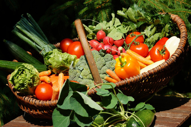 Обои картинки фото еда, овощи, огурцы, перец, зелень, помидоры, томаты, морковь, редис
