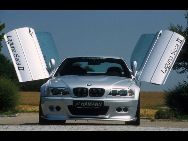 Обои картинки фото hamann, laguna, seca, ii, автомобили, bmw