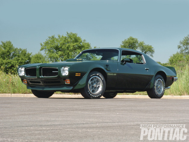 Обои картинки фото автомобили, pontiac, firebird