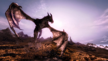 Картинка видео игры the elder scrolls skyrim дракон