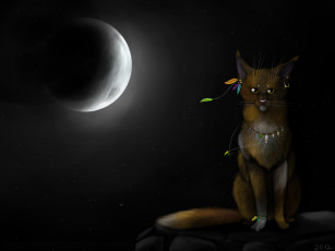Картинка рисованные животные +сказочные +мифические кот луна