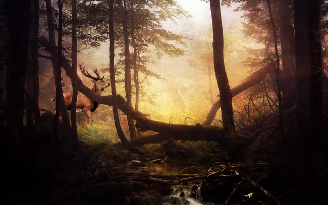 Обои картинки фото рисованные, живопись, лес, олень