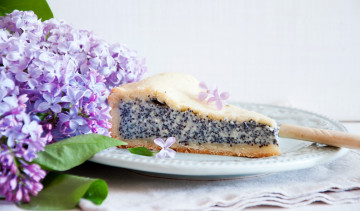 Картинка еда пирожные +кексы +печенье пирог маковый кусок цветы сирень